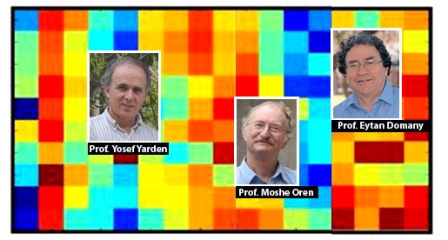 Professors: Yosef Yarden,Moshe Oren and Eytan Domany
